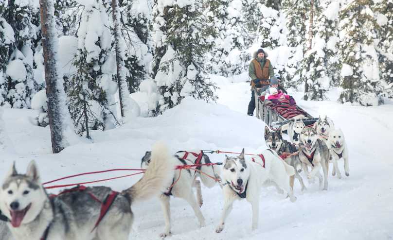 huskysafari February