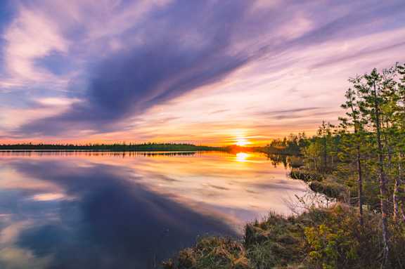keskiyön aurinko