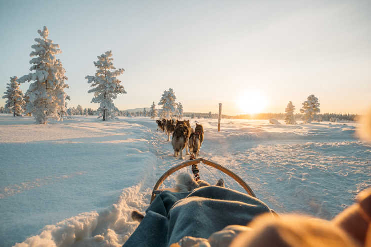 Huskyvaljakko