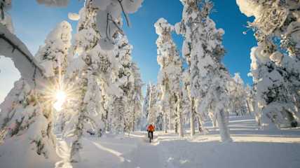 talvipyöräily aurinko