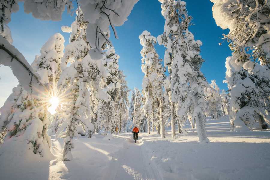 talvipyöräily aurinko