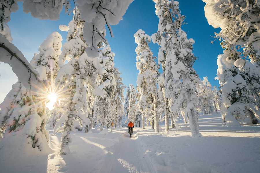 talvipyöräily aurinko