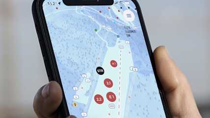 Levi Resort App