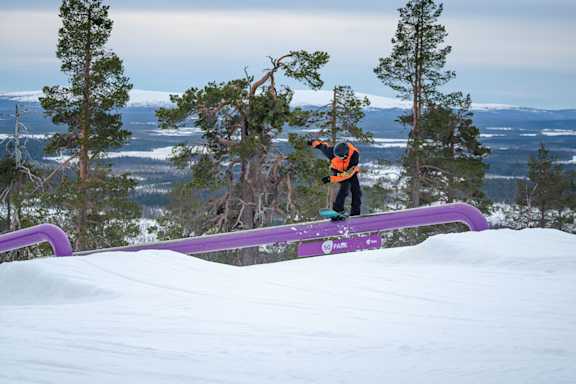 lappi cup