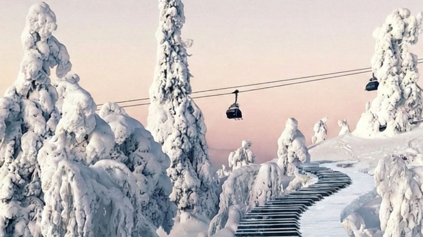 lsr Levi live piano jazz