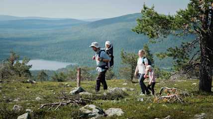 Kesä Kätkätunturi