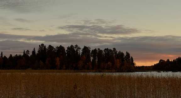 yö järven rannalla