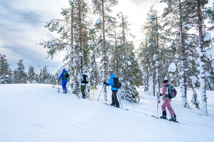 Kuva: Ski.fi / Harri Lindfors