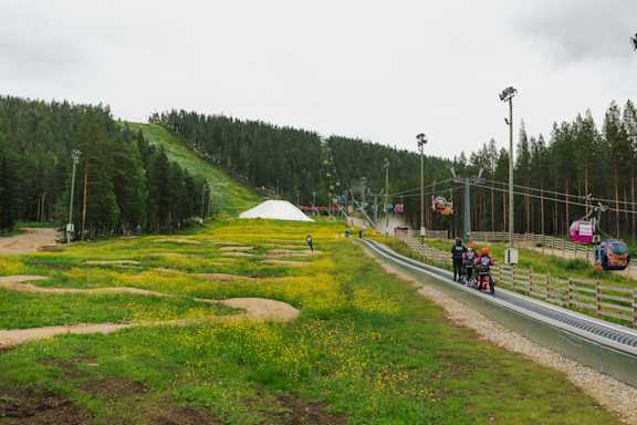 lsr hidden forest