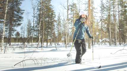 woman skiing in the woods