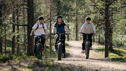 Lapland Safaris summer biking