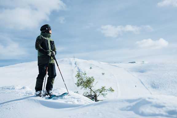 Linkola