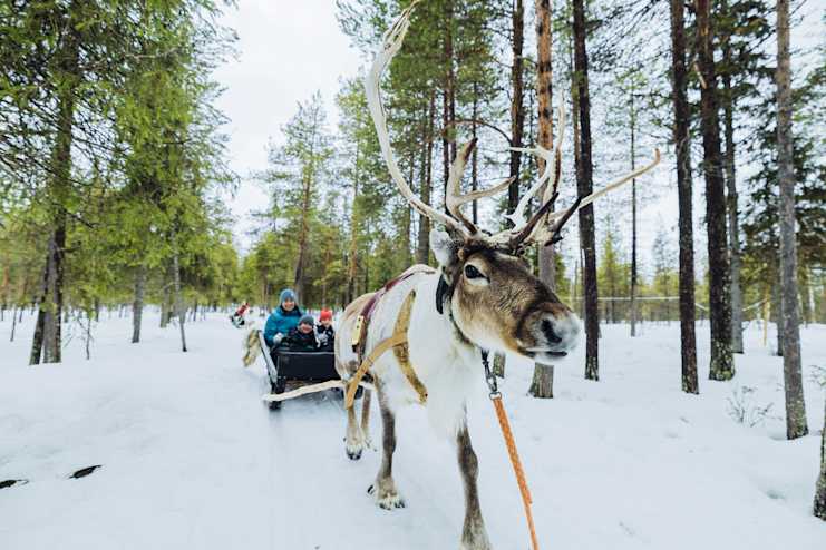Pororeki