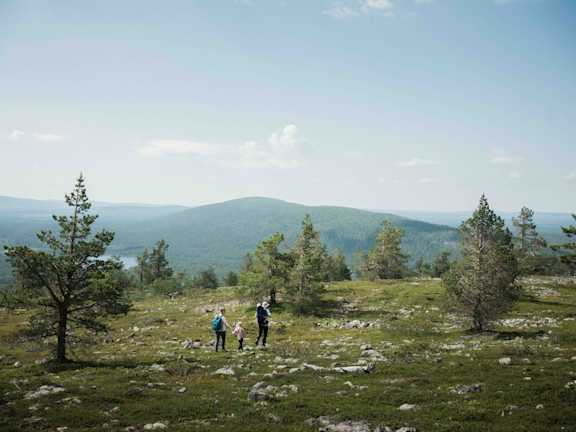 Perhe tunturi kesä