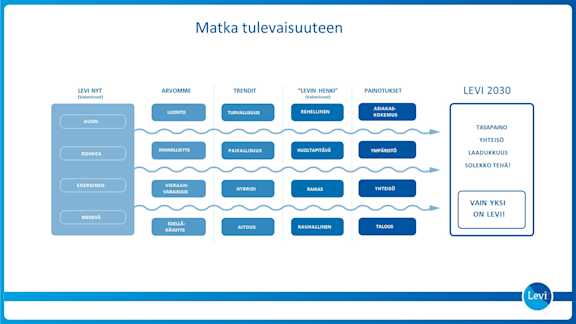 Levi strategia matka tulevaisuuteen