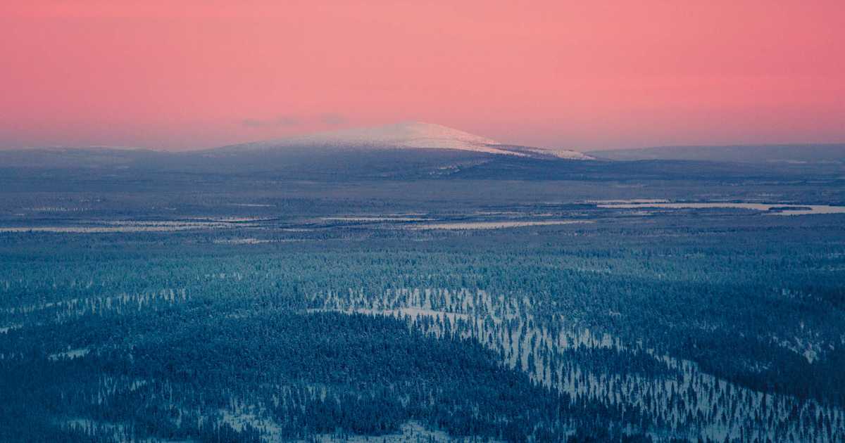 Pinkki Tammikuu Levill pinkki-tammikuu-levill