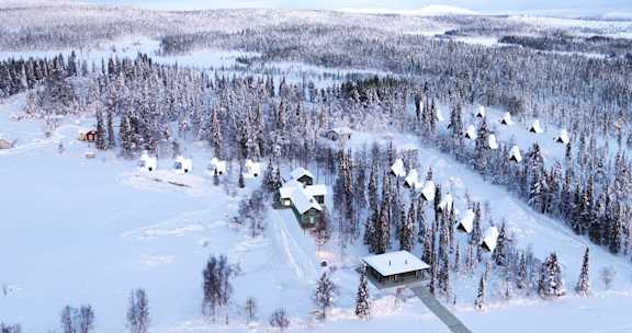 nivunki 1