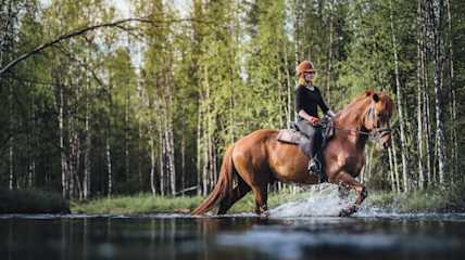 Ratsastaja ja hevonen ylittävät jokea