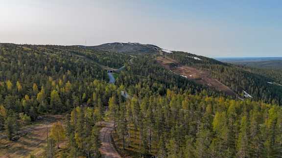 LSR levitunturi kesä