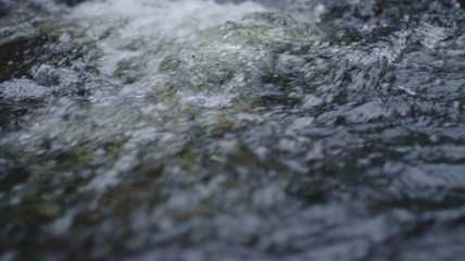 Feel Levi tuoksu vesi