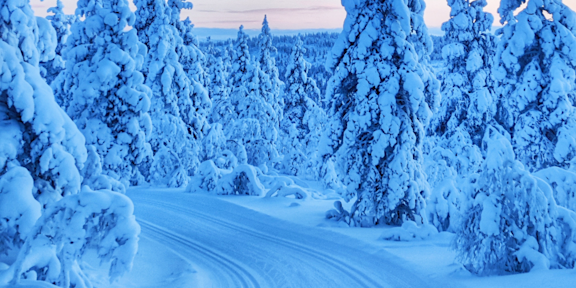 Hile Ourdoor Ski trail