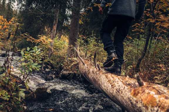 Feel Levi värit metsä