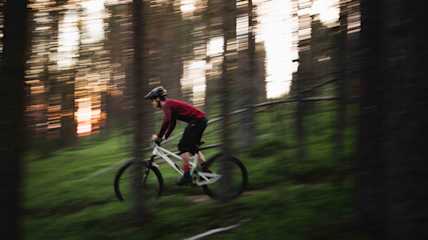 Pyöräily metsä