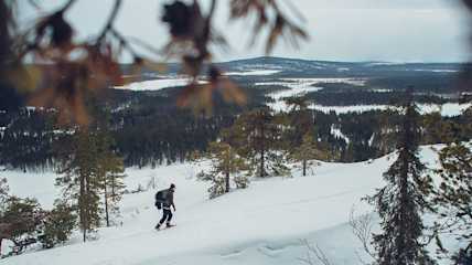 Lumikenkäilijä puiden välistä kuvattuna tunturissa