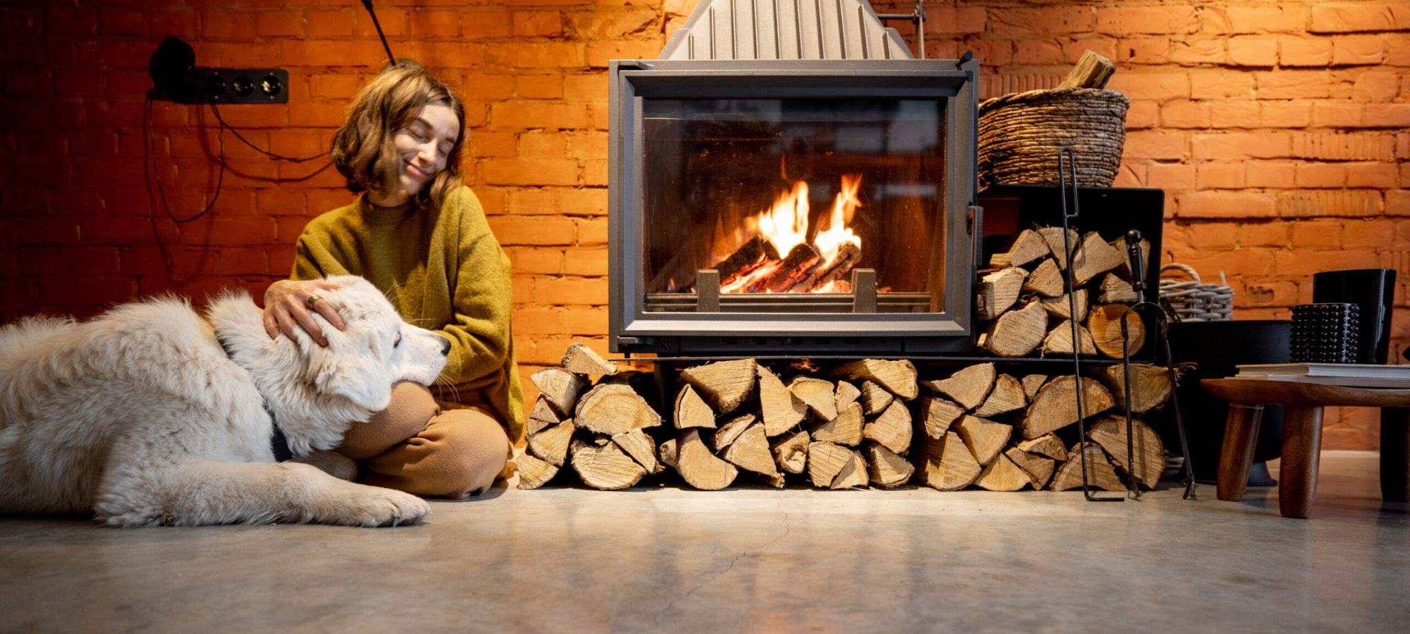 Tunturipuu lomailija