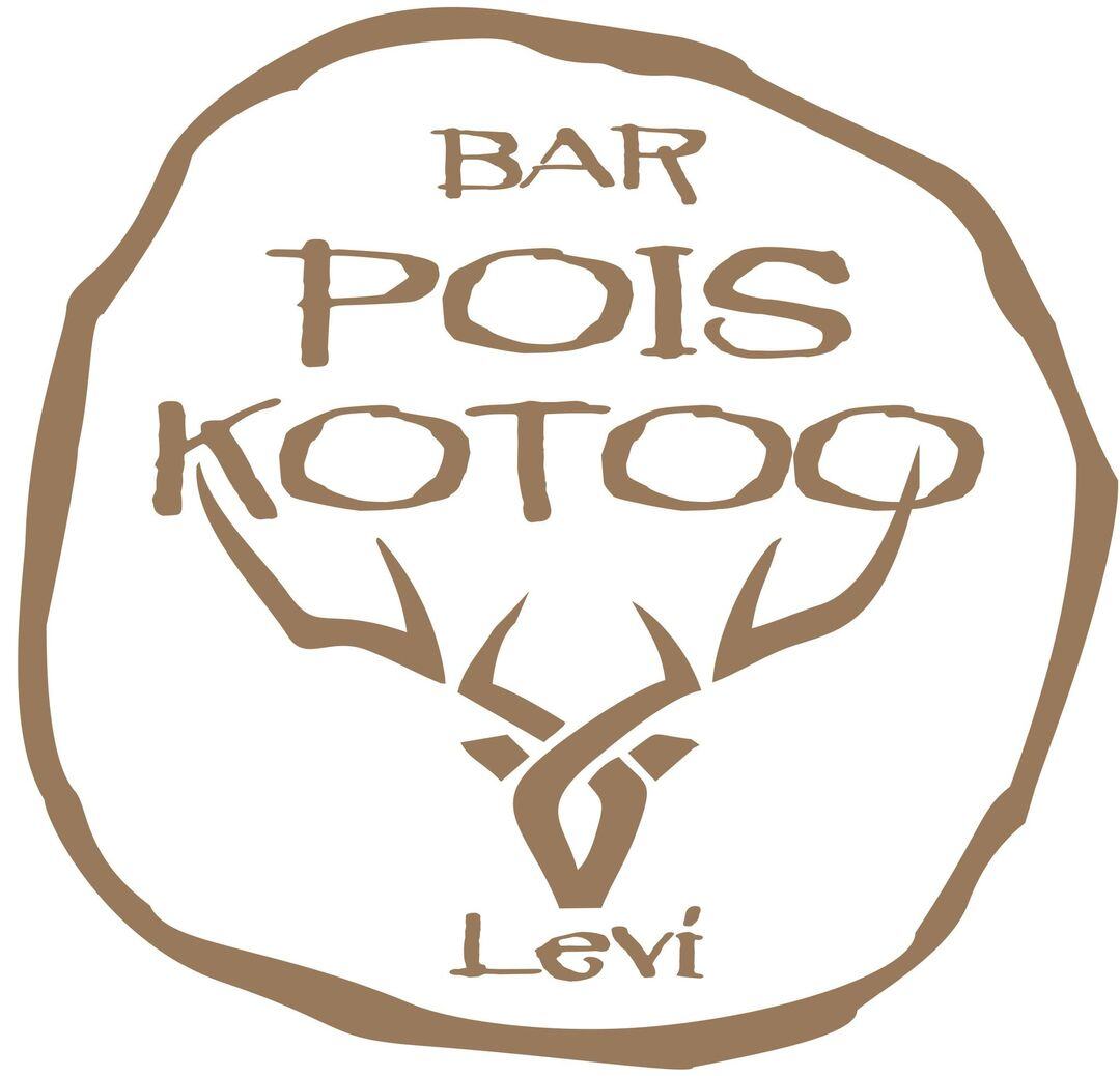 Pois Kotoo logo