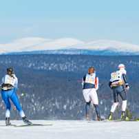 Ylläs-Levi 2025 maisemat