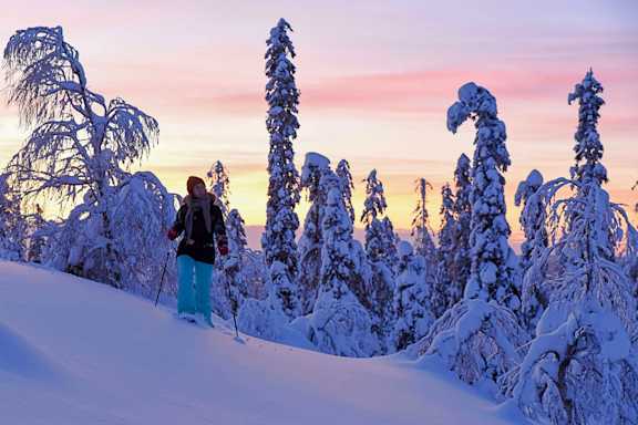 levi ski resort