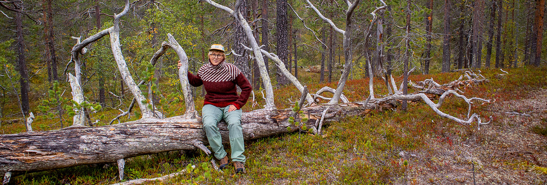 Anna Pakkanen taiteilija