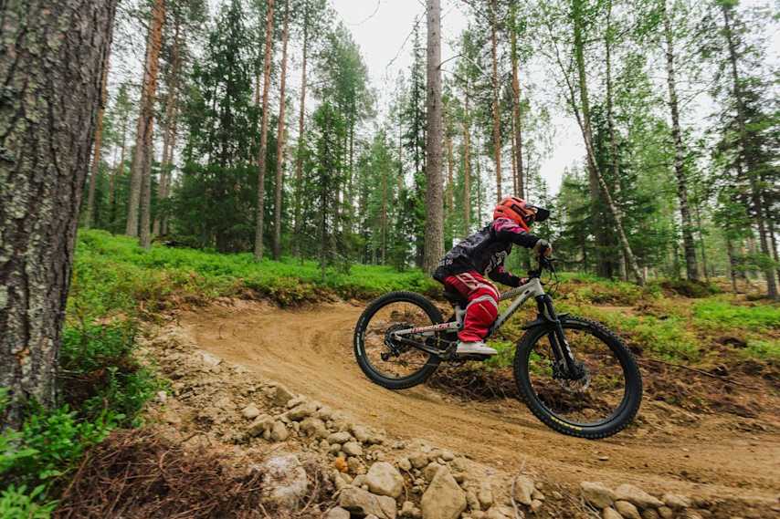 lsr hidden forest