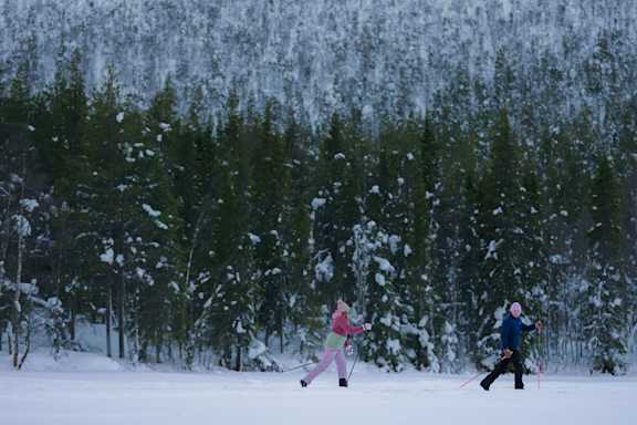 Hiihtäjät hiihtäminen maastohiihto
