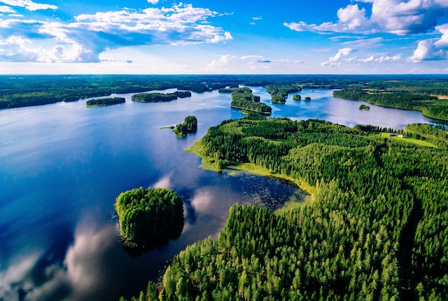 Lagos azules y bosques verdes en un soleado día de verano en Finlandia