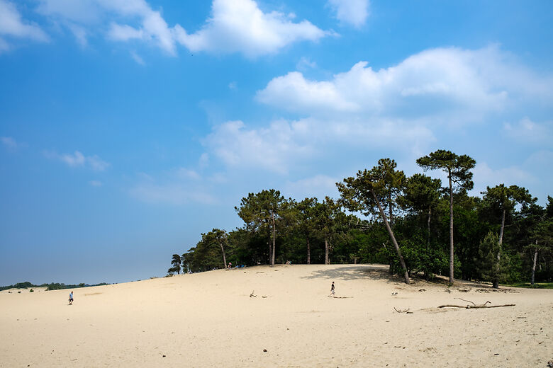 Nationaal Park Hollandse Duinen