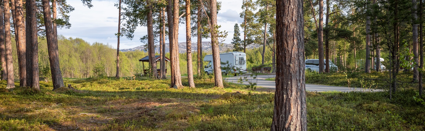 Warum ich Schweden im Mai immer wieder besuchen würde.