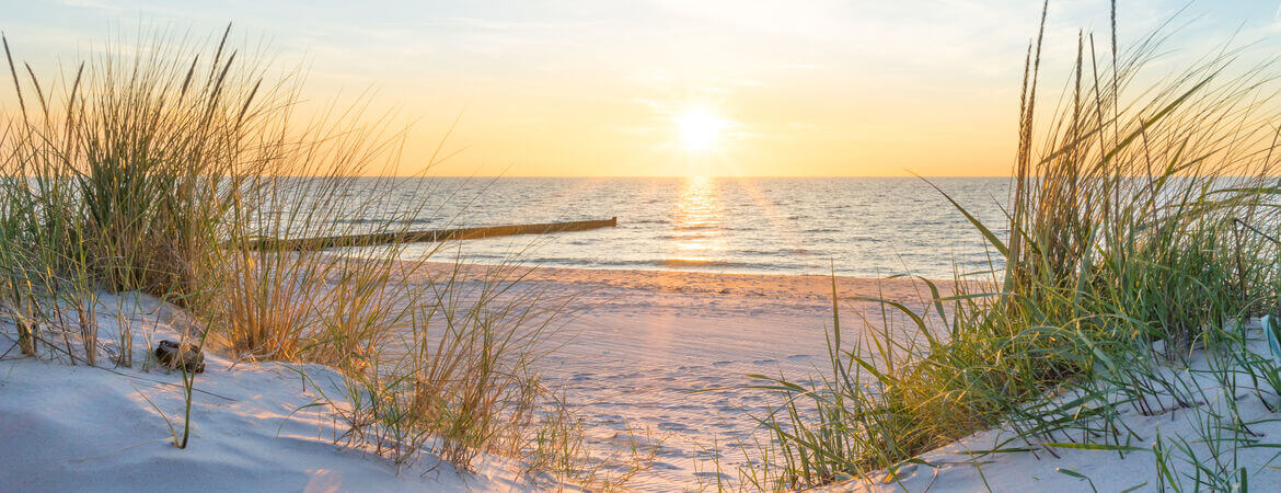Das sind die 6 schönsten Campingplätze auf Rügen