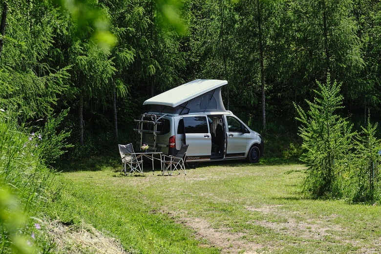 Naturcamping im Schwarzwald zwischen Bäumen