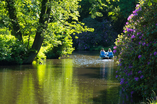 Ein Tretboot auf dem Gewässer im Schlossgarten Oldenburg