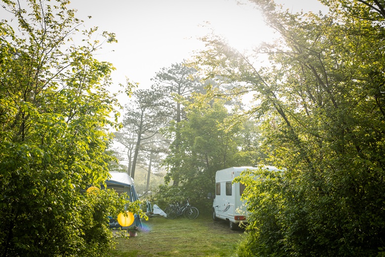 Wohnmobile auf einem Campingplatz mitten in der Natur