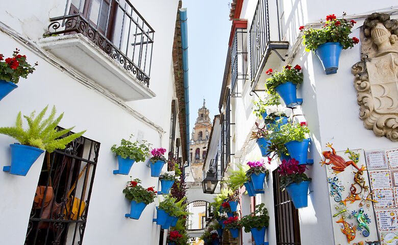 Gasse mit Blumen und weißgekalkten Häuser in Córdoba in Andalusien