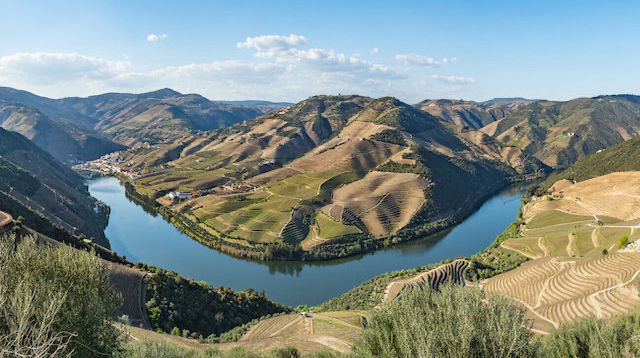 Vue des vignobles en terrasses de la vallée du Douro, près du village de Pinhao, au Portugal.