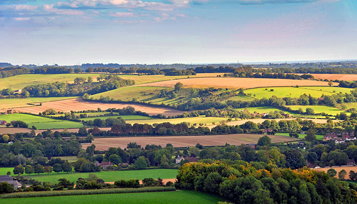 South Downs Beacon Hill, Hampshire, England