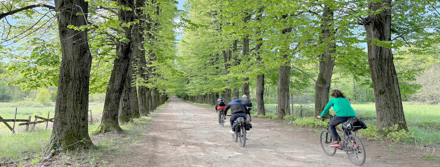 Parco della quassa con ciclisti in italia