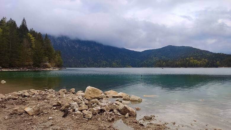 Ufer am Eibsee in Bayern