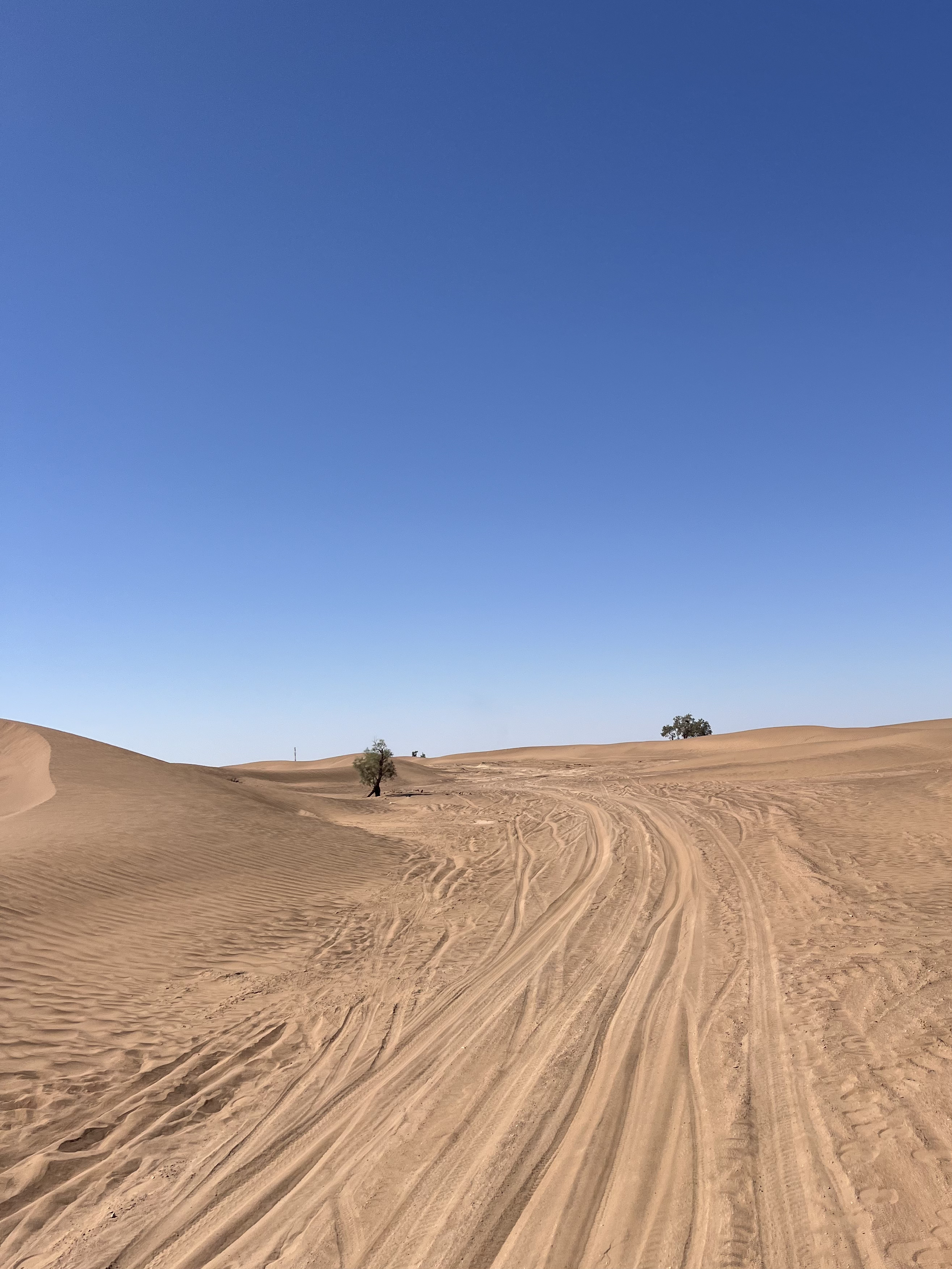 Reifenspuren im Sand in Marokko