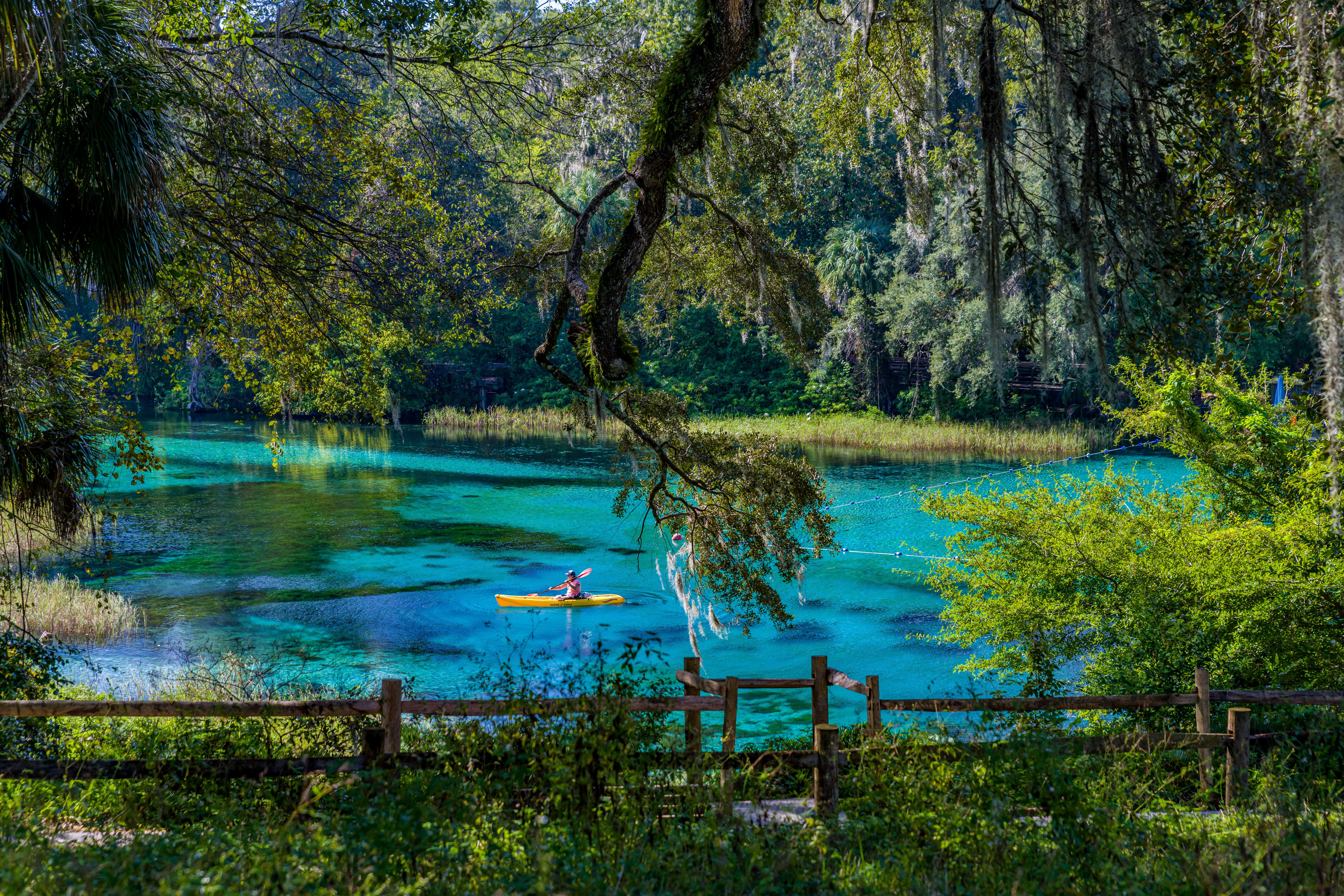 Frau fährt Kanu in Florida im Nationalpark