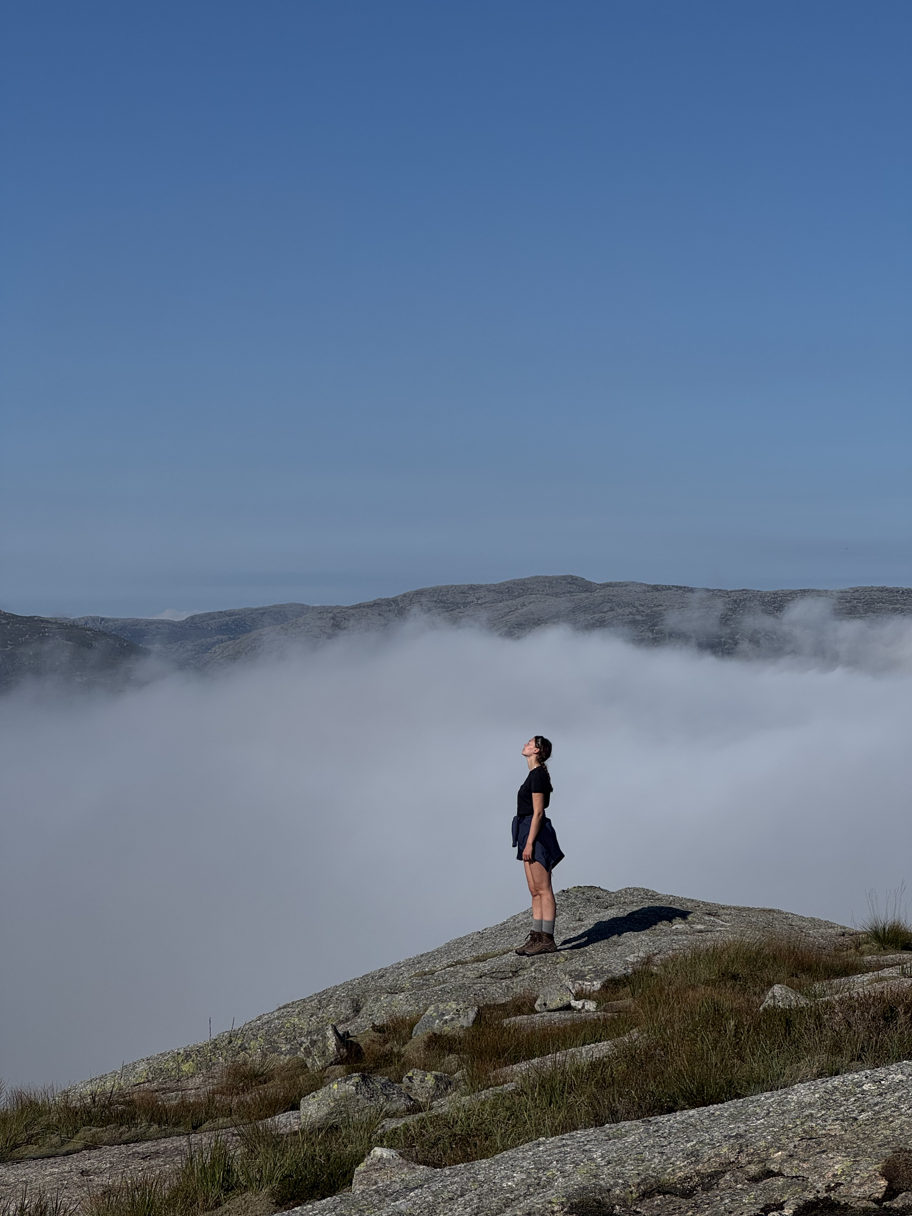 Frau wandert auf dem Preikestolen in Norwegen